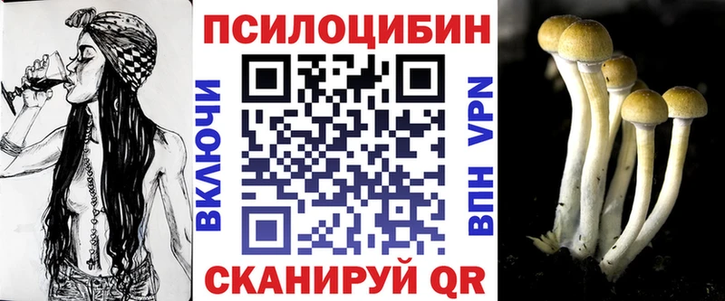Купить закладки Отрадное Псилоцибиновые грибы ЛСД
