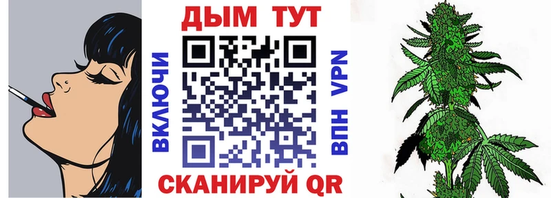 Конопля Amnesia  Купить  Отрадное 